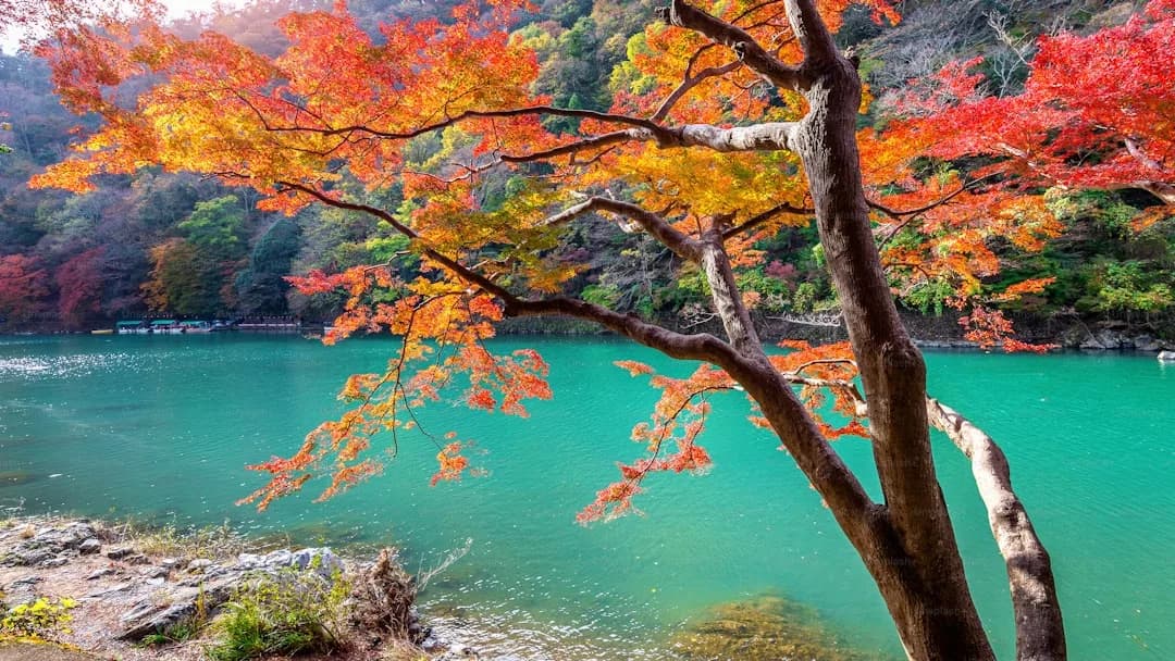 Nikko